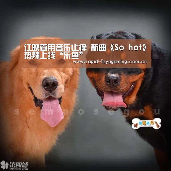 乐鱼官网