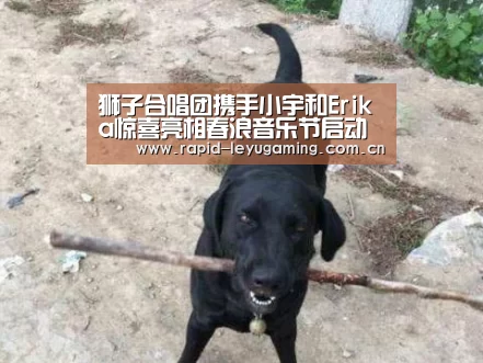 狮子合唱团携手小宇和Erika惊喜亮相春浪音乐节启动发布会_乐鱼体育app下载(图1) 乐鱼