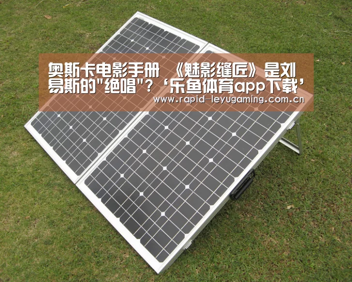 奥斯卡电影手册 《魅影缝匠》是刘易斯的绝唱?‘乐鱼体育app下载’(图3) 乐鱼官网
