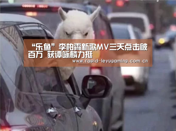 乐鱼