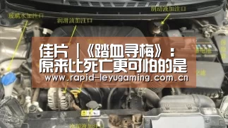 佳片 |《踏血寻梅》:原来比死亡更可怕的是痛苦的活着_乐鱼官网(图3) 乐鱼网址